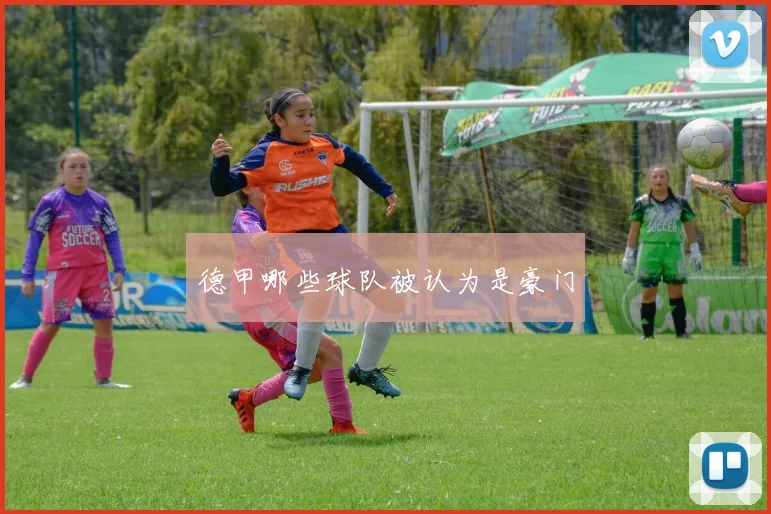 德甲哪些球队被认为是豪门