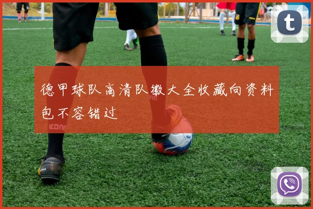 德甲球队高清队徽大全收藏向资料包不容错过