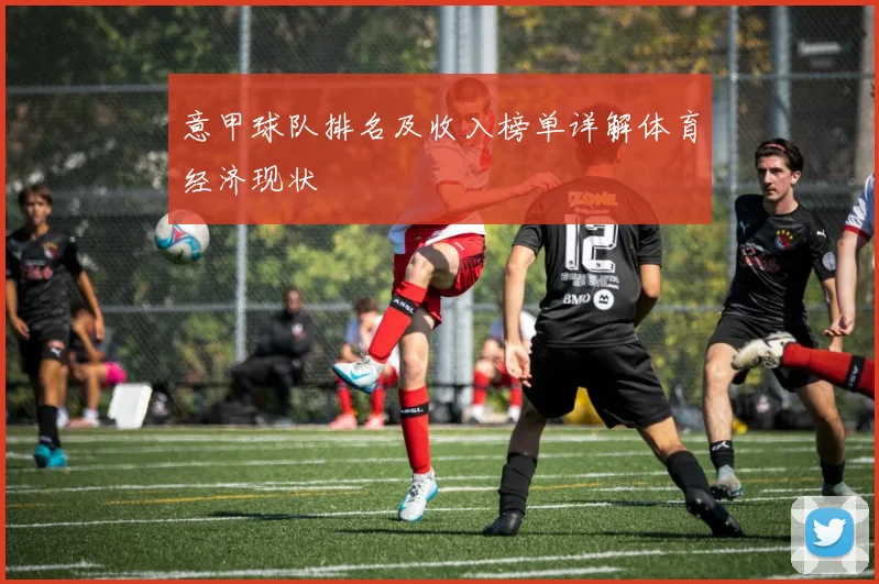 意甲球队排名及收入榜单详解体育经济现状